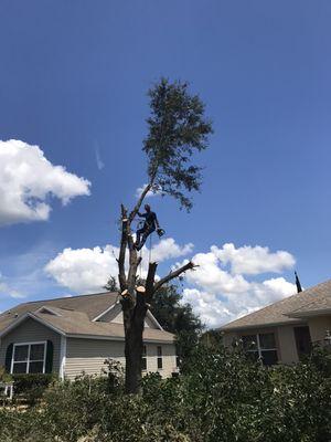 Reese's Landscaping and Tree Service