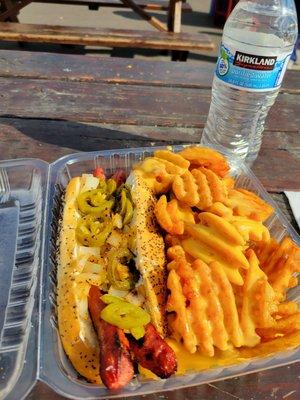 Seattle dog and waffle fries with cheeze whiz!