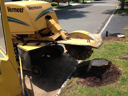 Stump Grinding Services