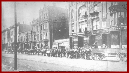 Our original office on Grand Avenue in Chicago..using horse and buggy to move customers! Look closely and see the BROMS name on the building