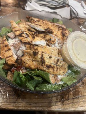 Grilled Chicken Caesar Salad