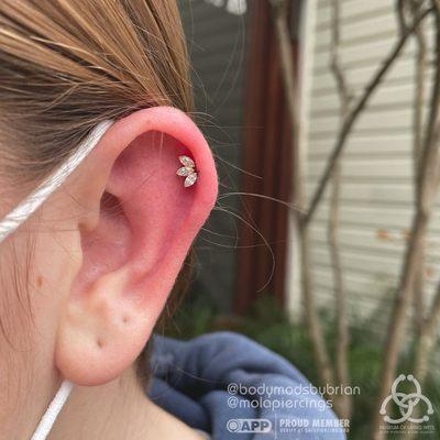 Cartlidge with a BVLA marquis fan