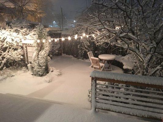 Bryan hung bistro lights for ambiance for my Airbnb guests during winter