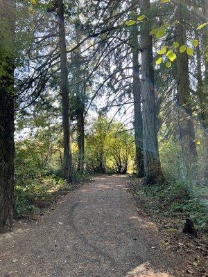 Jenkins Estate - trail to unpaved loop