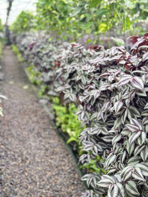 Rote Greenhouses