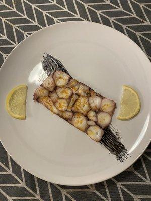 Octopus terrine