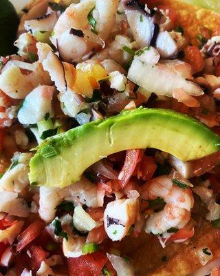 Ceviche