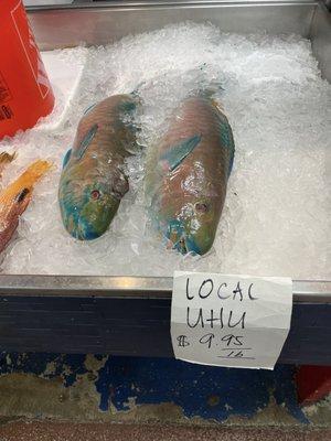 Fresh fish