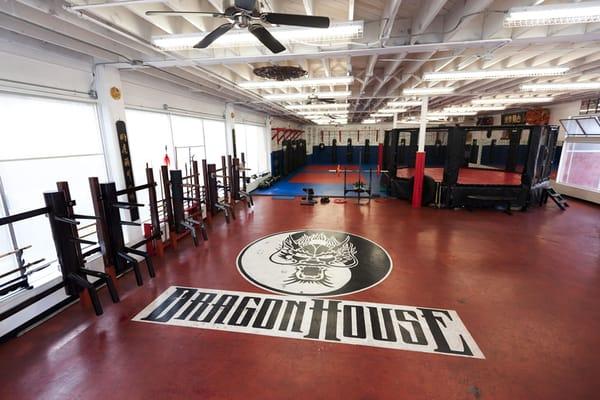 Inside Dragon House.  Traditional Kung Fu equipment on the left, full cage on the right, and mat area in the back.