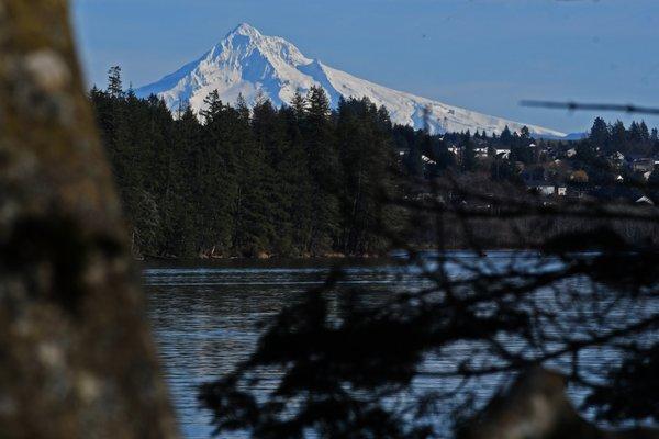 Views of Mt Hood in many places