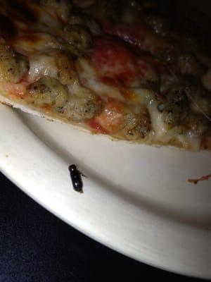 A bug baked into our pizza. GROSS! Avoid this place