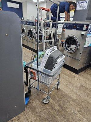 Another Occupied cart!