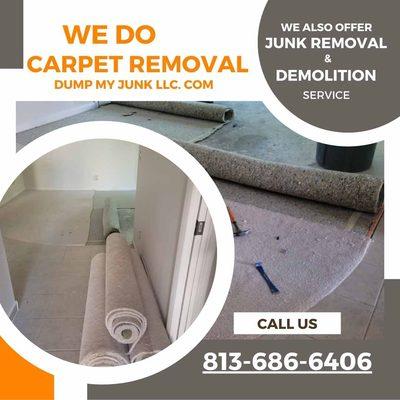 Junk Removal; Commercial Clean Up; Hot Tub Removal; Bagster Pick Up; Furniture Pick Up; Shed Demolition; Garage Clean Out; 813-536-3338