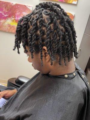 2 strand twist locs