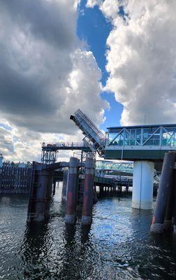 Departing Kingston ferry dock (5/19/24)