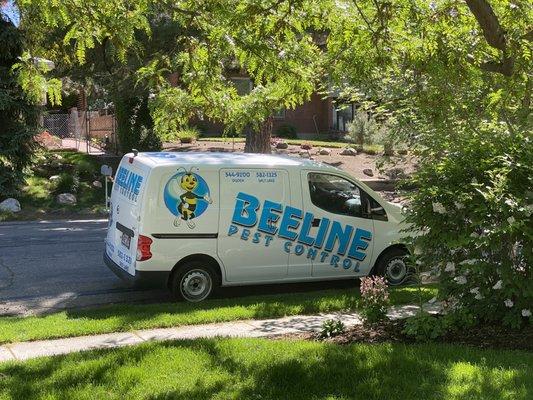 Beeline Pest Control