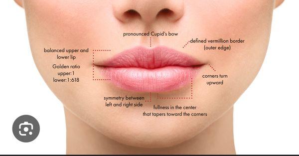 Diagram of what a pouty lip should look like.