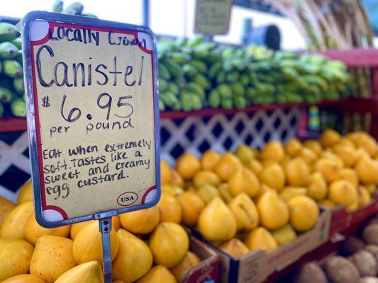 Here to try this "egg fruit" (officially known as canistel)!! Supposedly like egg custard!