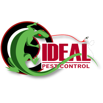 Ideal Pest Control