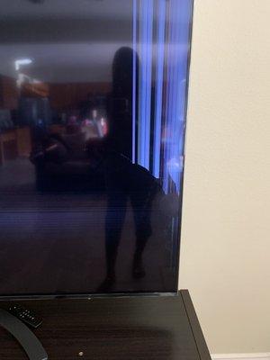 Damaged 75" TV from Walt's TV