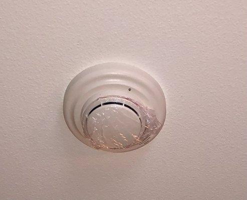 Plastic covering smoke detector.