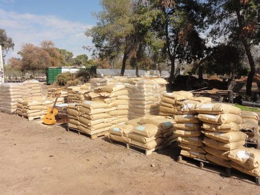 Coordinator hanging out with his guitar to help load feed for a few hours.