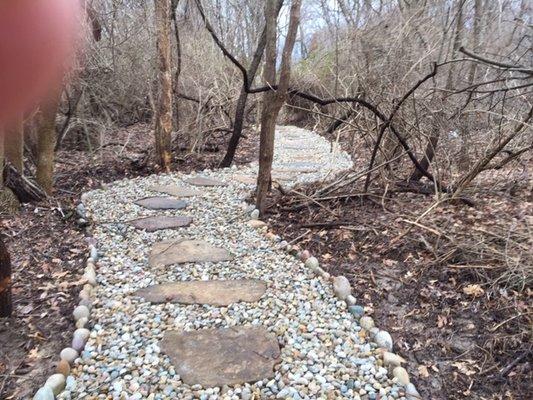 Path through the woods