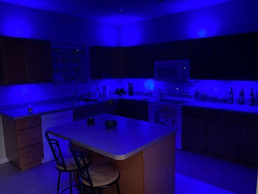 Kitchen LED Lighting