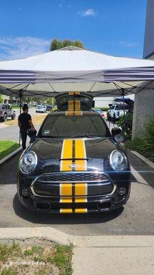 Bumper to Bumper Racing Stripes Installed on a Mini Cooper. Using 3M Wrap