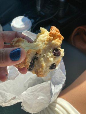 Maple raisin pecan scone. Good, fresh, crumbly