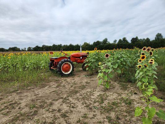 Photo op tractor