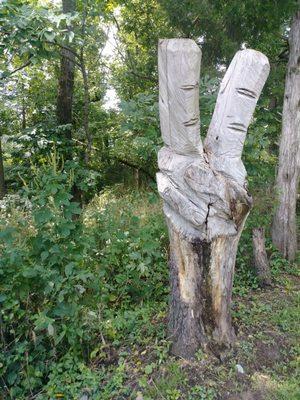 Several wood carvings around the property, this one was by our site