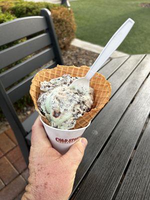 Mint Mint Chocolate Chocolate Chip