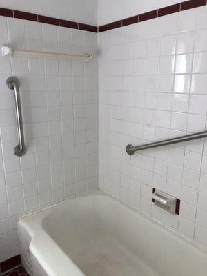 Grab Bars . This isn't your grandparents apartment by any stretch of the imagination.