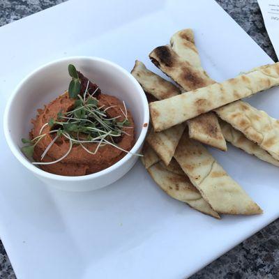 Sun dried tomato hummus with naan