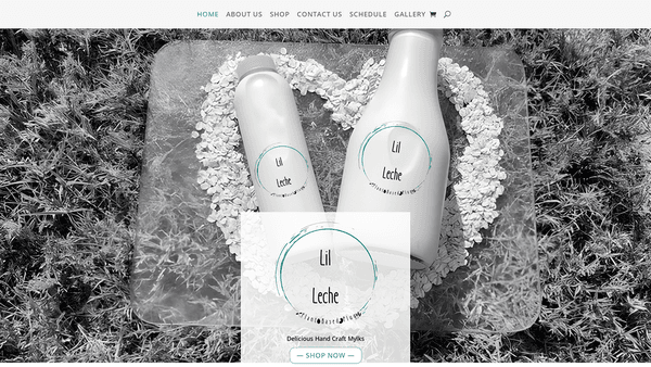 A simple little eCommerce site made for local mylk-alternative maker Lil Leche!