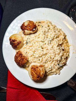 Risotto and scallops