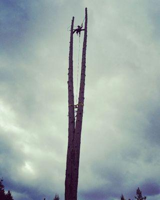 Hazard tree removal in Leavenworth.