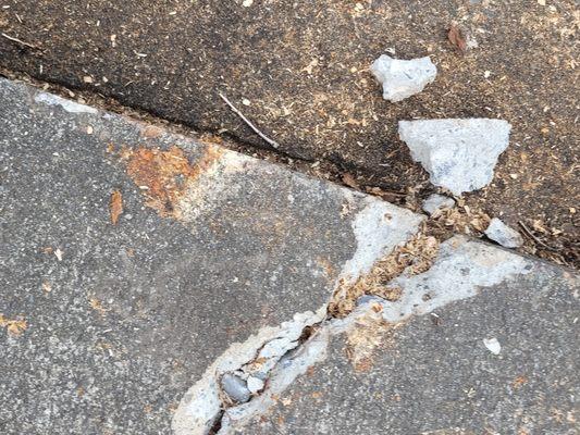 Spokane Tree Pro owner Ben Stanton's damage to my driveway. The "cracks not breaks" he was adamant about.