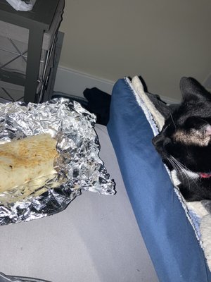 Somebody else liked the burrito too