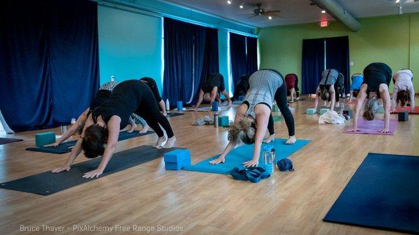 Downward Dog Yoga