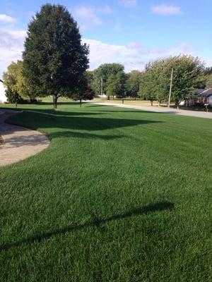 One of our beautiful lawns in Clyde, Ohio