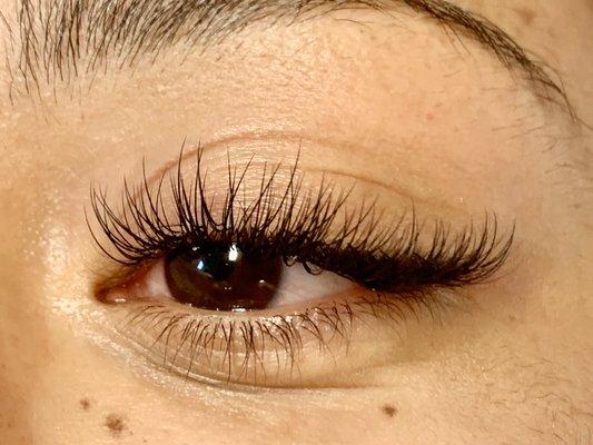 Lash extensions