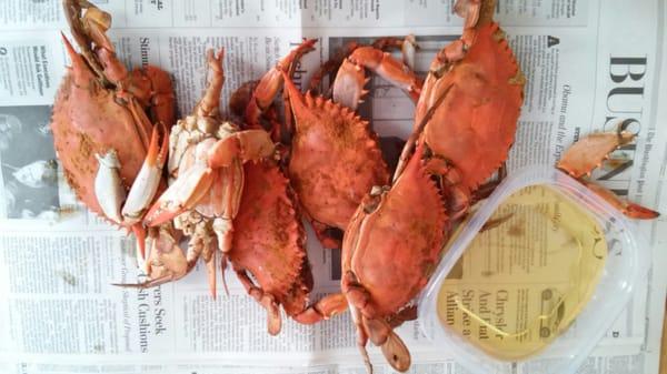 3lbs. of cooked Blue crab