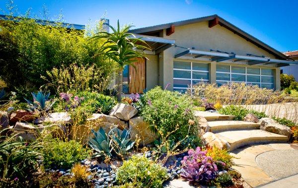 Drought Tolerant Landscaping and Hardscape Installation & Design!