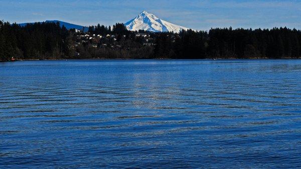 Views of Mt Hood in many places