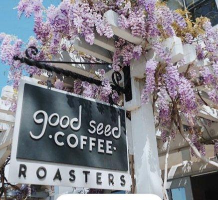 Good Seed Coffee Boutique