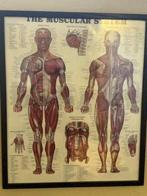 Jackson Chiropractic