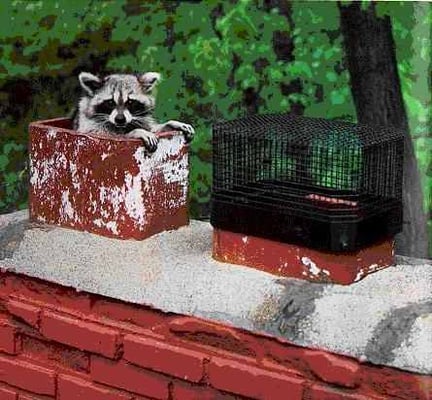 Chimney caps also acts as a spark arrester keeping embers from the roof top !