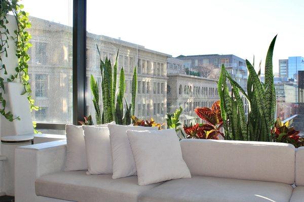 We were seated in the sun room with the fireplace. The aesthetic of the space was airy and playful with a lovely contrast of whites & greens